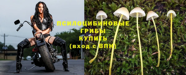 дурь Краснотурьинск
