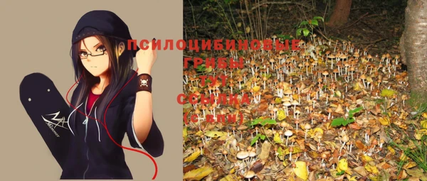 дурь Краснотурьинск