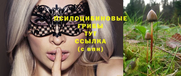 мдма Краснослободск