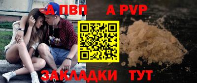 соль ск Кингисепп