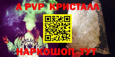 соль ск Кингисепп