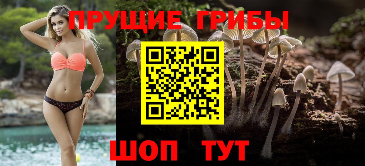 Галлюциногенные грибы ЛСД Юрга