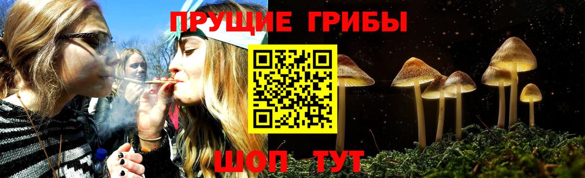 Псилоцибиновые грибы GOLDEN TEACHER  Вход с VPN  цены   Юрга 