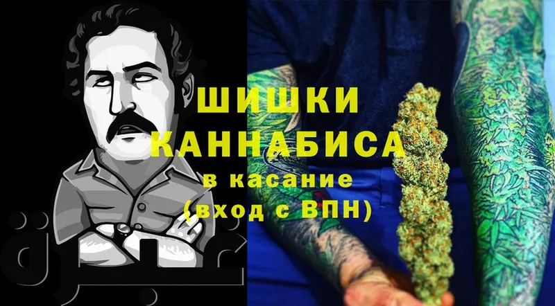 Бошки марихуана марихуана  OMG рабочий сайт  Юрга 